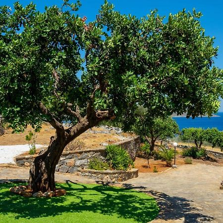 Elounda Anemelia Apartments Exteriör bild